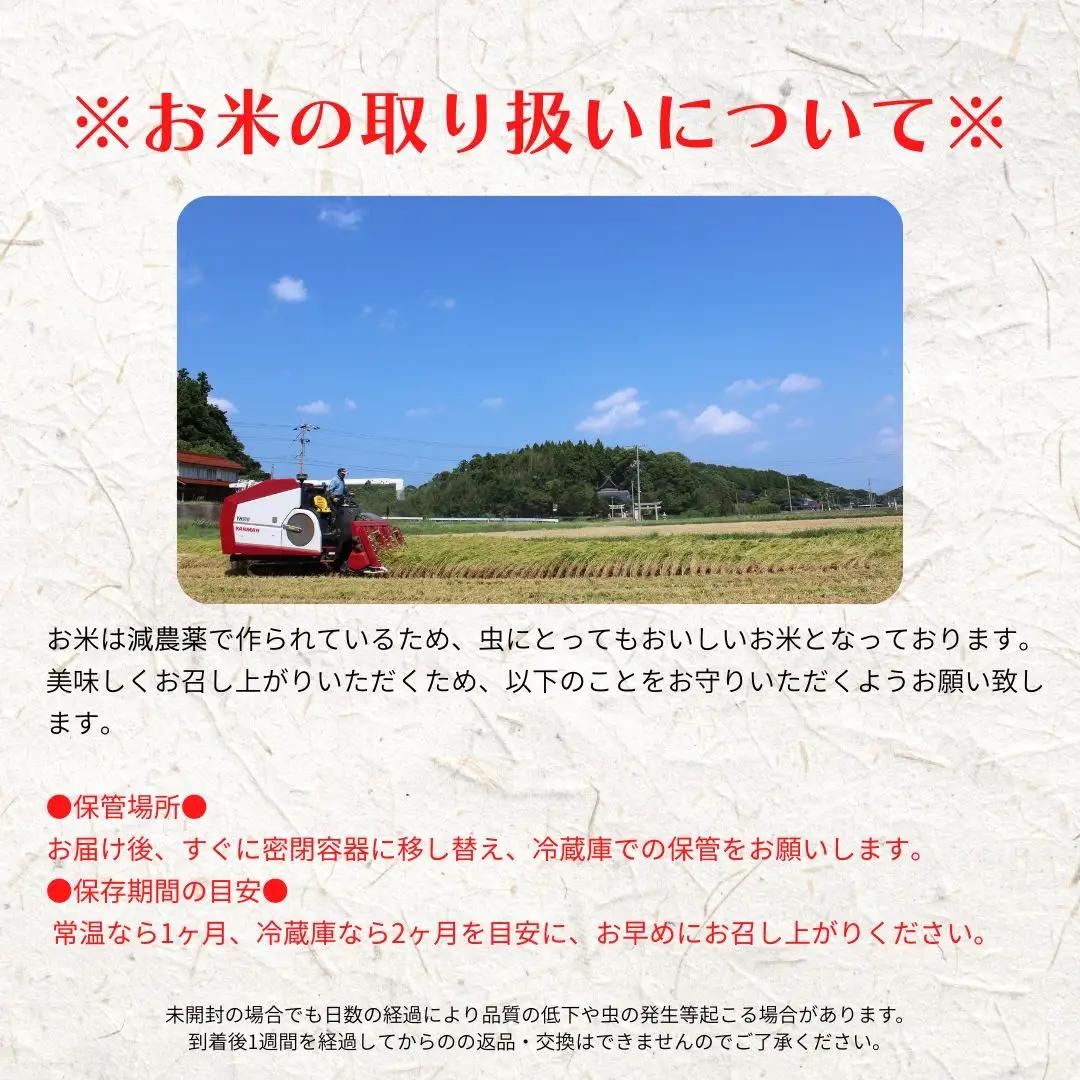 【令和8年度産】お米 きぬむすめ 5kg  精米