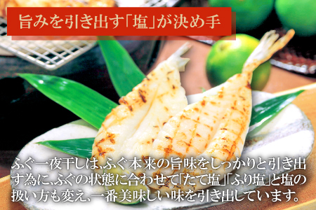 日本海が育んだ絶品　ふぐ・白いか一夜干詰合せ【ふぐ いか フグ 干物 260g 5尾～11尾 1箱 白いか 干物 3枚 河豚 イカ 烏賊 ケンサキイカ 一夜干し 贈答 ギフト 父の日 母の日 国産】