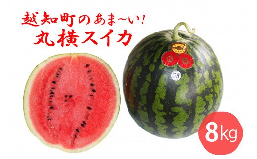 越知町のあま～いスイカ【約8kg　1玉】