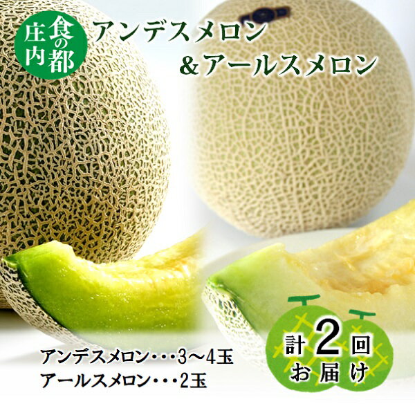 【ふるさと納税】【先行予約】食の都庄内【令和7年産】ジューシー！メロン2ヶ月定期便※令和7年7月上旬頃より発送予定（庄内たがわ農業協同組合）