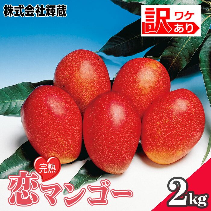 【ふるさと納税】No.219 【訳あり】完熟恋マンゴー約2kg（家庭用段ボール入り） ／ 樹上完熟 果物 フルーツ デザート 南国 コク 甘み 規格外 特産品 送料無料 愛知県