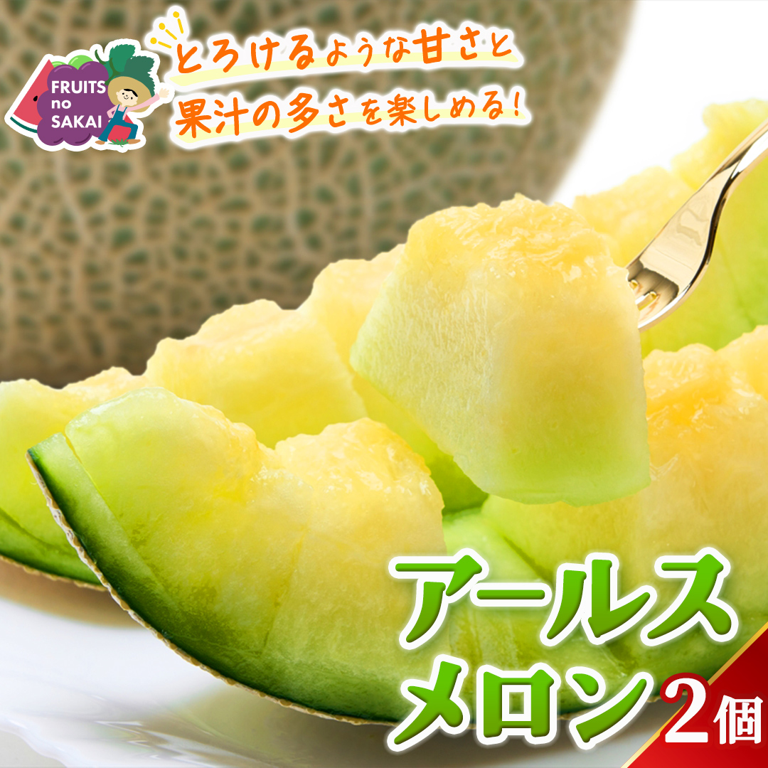アールスメロン 2玉 メロン ギフト 高糖度 甘い 美味しい フ