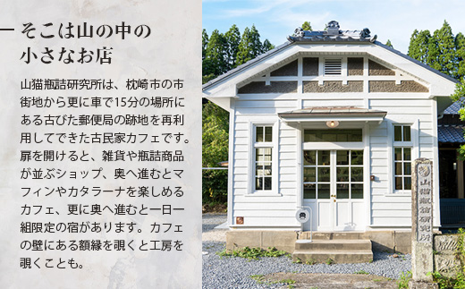 枕崎産かつお節と地元野菜の ピクルス 3種セット〜芳醇な香りに包まれて〜 A8−60【1166371】