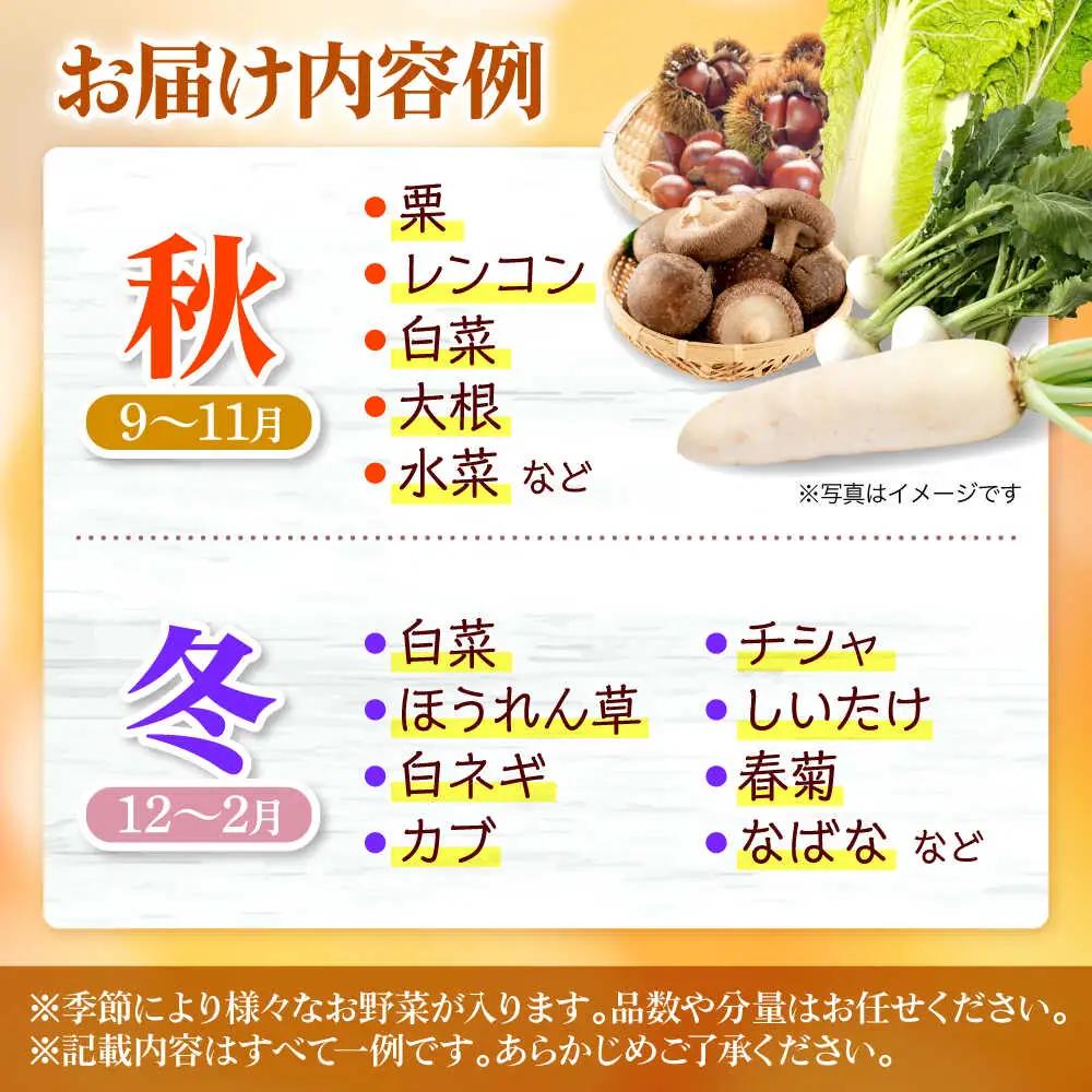 【全3回定期便】厳選！農夫の野菜詰め合わせセット[APBA015] 野菜