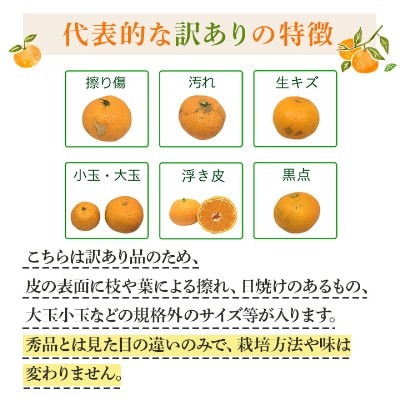 【発送月固定定期便】愛媛の人気2品種を堪能!せとか・甘平 食べ比べ【訳あり】【F25−201】全2回【4066441】