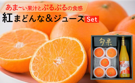【11月下旬から発送】 紅まどんな・紅まどんなジュースセット（ 紅まどんな みかん ミカン 蜜柑 柑橘 フルーツ まどんな みかん 愛媛 みかん 紅まどんな 蜜柑 紅まどんな 愛媛 松山）【FA095】