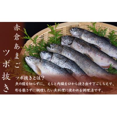ふるさと納税 熊野市 あまごツボ抜き　10本入り　下処理済み　塩焼きや色々なお料理に