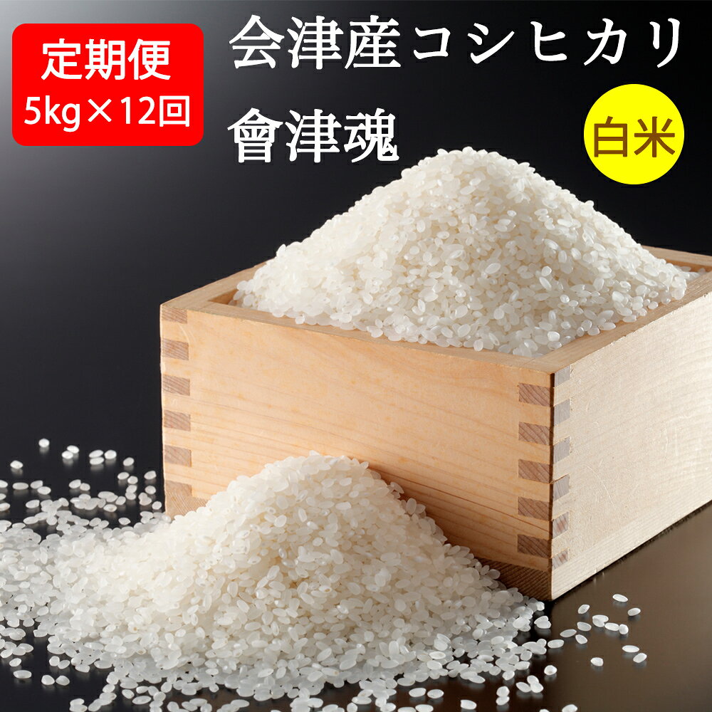 【ふるさと納税】[お米定期便12回] 会津産コシヒカリ「會津魂」【白米】5kg×12回｜ こしひかり 会津若松市 お米 米 こめ 精米