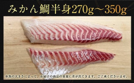 みかん鯛 270g~350g 半身 2節 宇和島プロジェクト 刺身 みかん 刺身 蜜柑 刺身 柑橘 刺身 真鯛 刺身 鯛 刺身 マダイ 刺身 タイ 刺身 刺身 お刺身 刺身 お刺し身 刺し身 冷凍 刺
