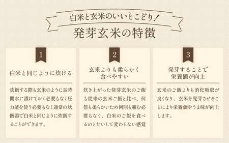 【令和6年産】発芽玄米 特別栽培米 コシヒカリ 2kg 【米 玄米 こしひかり ギャバ GABA 特別栽培 食物繊維 栄養 真空パック ごはん ご飯 おいしい ふるさと納税米】 [A-2977]
