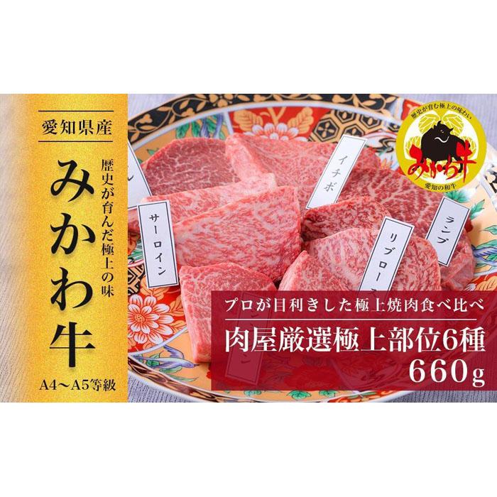 【ふるさと納税】【みかわ牛】肉屋厳選極上部位6種　660g | 肉 お肉 にく みかわ牛 食べ比べ 和牛 焼肉 牛肉 国産牛 焼肉セット 希少部位 詰め合わせ 660g BBQ バーベキュー 贈答 ギフト お祝い お取り寄せ 上質なお肉 いいお肉 肉質がいい 高級 リピート 愛知県 豊田市