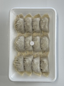 【数量限定！】＜ニンニク餃子(12ヶ入×5パック)＞【MI282-fu】【福栄生餃子店】