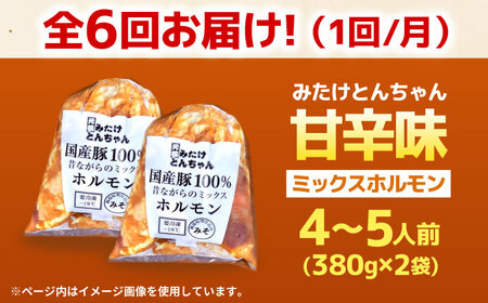 【6回定期便】 「元祖みたけとんちゃん」 昔ながらのミックスホルモン 2袋 / モツ もつ レバー ホルモン / 御嵩町 / 藤よし[AVAA083]