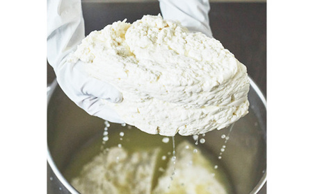 No.585 ホエイのきもち24本セット（プレーン・ゴールデンカボス・ブルーベリー）