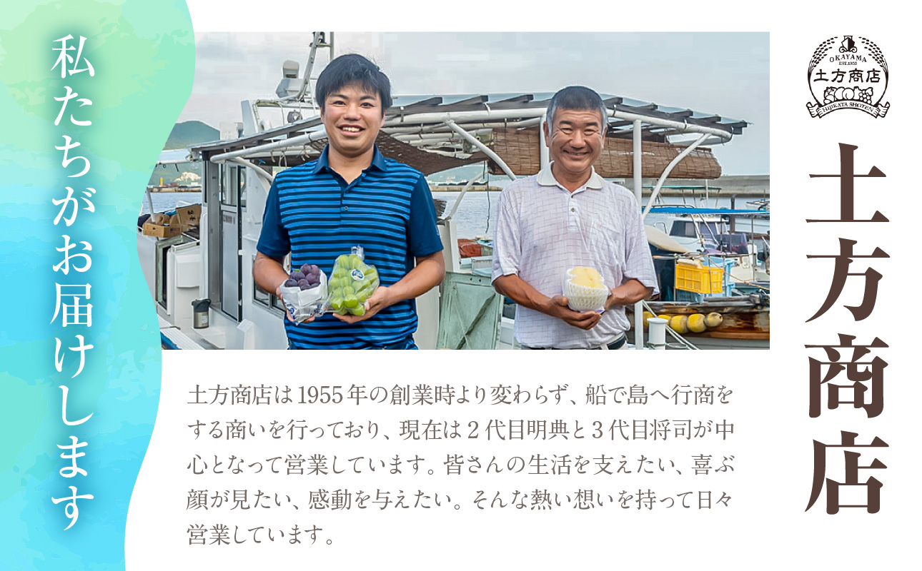 【2027年発送分・先行予約開始！】岡山名産 あたご梨 　秀品　約4kg（3～6玉）（令和9年11月下旬以降発送）【梨】 2027年発送 約4kg