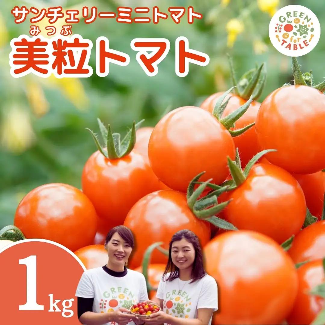 美粒トマト ミニトマト サンチェリー 1kg 2026年7月発送 トマト 新鮮 採れたて フレッシュ 野菜 農家直送 1キロ 人気 福島県 田村市 田村 GREEN for TABLE