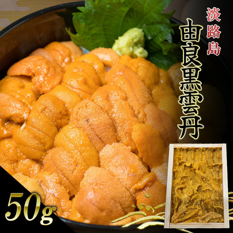 【ふるさと納税】淡路島　由良黒雲丹　1枚 兵庫県 洲本市 淡路島　お届け：2026年4月上旬～6月上旬