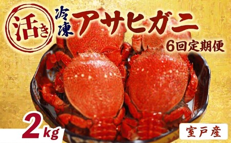【6回 定期便 活冷凍 アサヒガニ 約２㎏ 】 アサヒガニ あさひがに 朝日蟹 蟹 かに カニ 活冷凍 活き 生 姿 冷凍 セット 詰め合わせ パスタ 味噌汁 焼ガニ 魚介類 海鮮 海の幸 産地直送 産直 旬 晩御飯 夕食 おかず 酒の肴 おつまみ 贅沢 自宅用 家庭用 お取り寄せ 美阿丸 高知県 室戸市