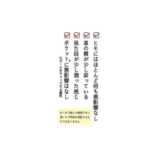 野球グローブクリーニング（色補修プラン）