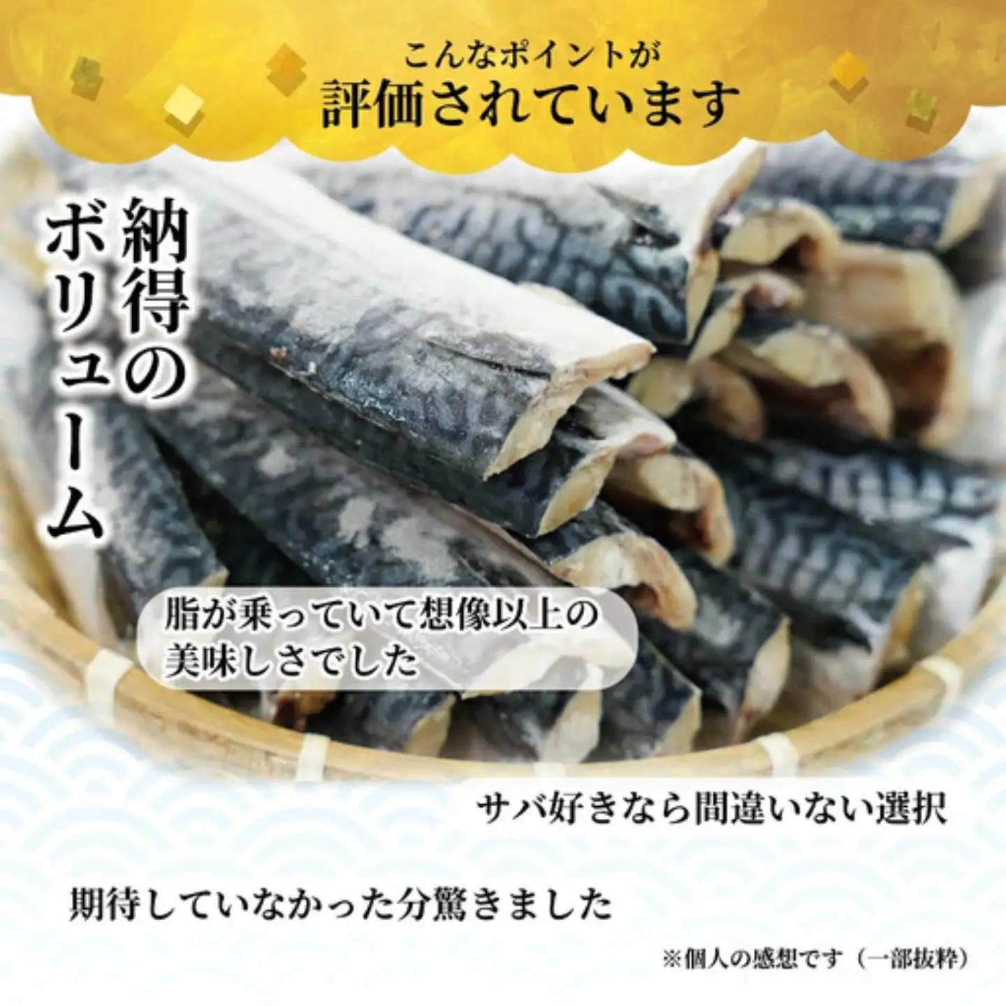 鯖 訳あり 塩鯖 5kg