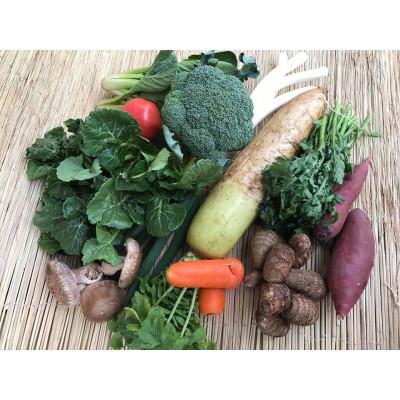 ふるさと納税 行方市 【発送月固定定期便】【下旬発送】『身体が喜ぶ野菜』季節の詰め合わせ(おまかせ10〜12品)全10回 |  | 01