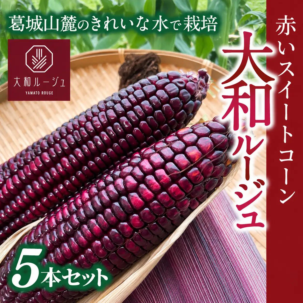 とうもろこし 先行予約 奈良県産 大和ルージュ 計5本 令和8年産 【2026年7月中旬～10月中旬順次発送】葛城市【smlk036】