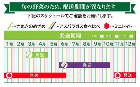 季節のやさい 人気 厳選 高松市 3回 [旬な季節に合計3回発送]定期便D【T006-738】