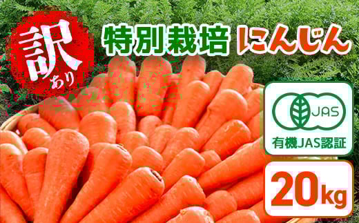 【先行予約】【冬にんじん・12月から発送】訳あり 有機JAS認証 特別栽培 にんじん 20kg　SMF003