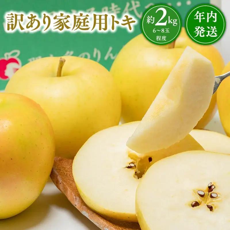 りんご 家庭用 トキ 約2kg【hi-0005-047】