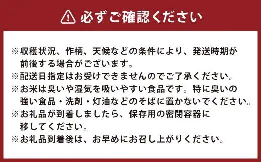 令和7年産 いわてっこ 精米 10kg（5kg×2袋） ／ お米 米 白米 ご飯 飯 こめ コメ 産地直送 産地 直送 国産 岩手県産