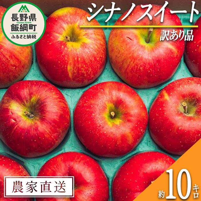 【ふるさと納税】りんご シナノスイート 10kg 訳あり 原山農園 沖縄へは配送不可 〔 果物 フルーツ 林檎 長野 予約 農家直送 不揃い 規格外 10キロ 18000円 〕【令和7年度収穫分】 発送：2025年10月中旬〜
