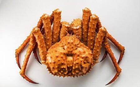 知床イバラがに 姿(大) いばらがに かに カニ 蟹  羅臼町 北海道産 海産物 生産者 支援 応援