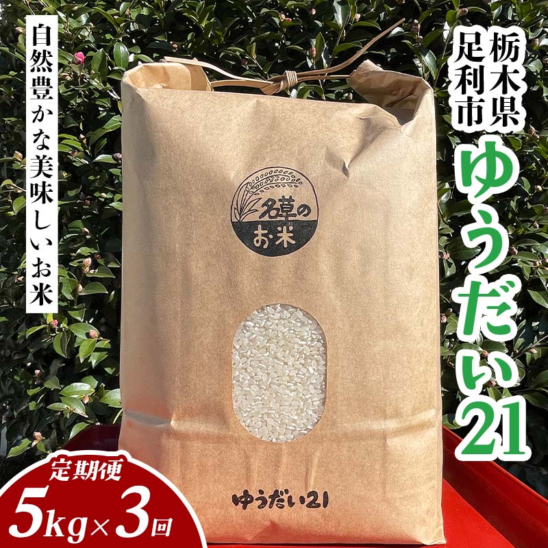 【ふるさと納税】令和7年産 新米 栃木県足利市産 ゆうだい21 5kg×3か月定期便 精米 白米 米 こめ ごはん 食品 栃木県 足利市 F7Z-1812
