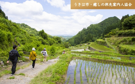 
P770-01 【参加型体験】リフレッシュ&デトックス～心癒されるうきはの森林セラピー～
