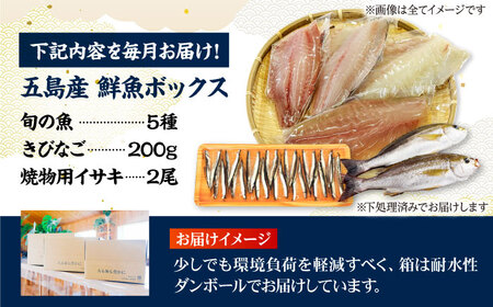 【全6回定期便】超速冷凍鮮魚7種（鮮魚5種+冷凍きびなご200g+焼物用いさき2尾）五島市/金沢鮮魚[PEP070]