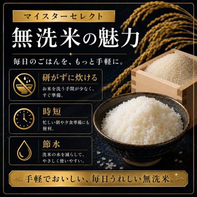 ふるさと納税 伊万里市 令和7年産【無洗米】さがびより 5kg 《マイスターセレクト》 |  | 01