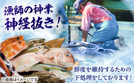 【季節ごとに旬の鮮魚を切り身でお届け】五島産高級鮮魚セット 3~4kg加工済み高級 鮮魚 三枚おろし あら 真空パック おまかせ 旬 刺身 レシピ付き 長崎　　　 五島市マルセイ水産 [PBT001]