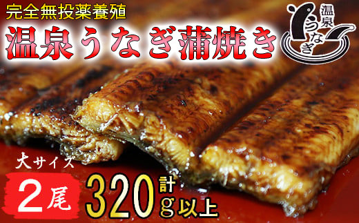 
温泉うなぎ蒲焼 2尾（160gサイズ） 国産うなぎ 人気 国産 蒲焼 蒲焼き かば焼き 鰻屋 個包装 冷凍 真空 ＜104-011_5＞
