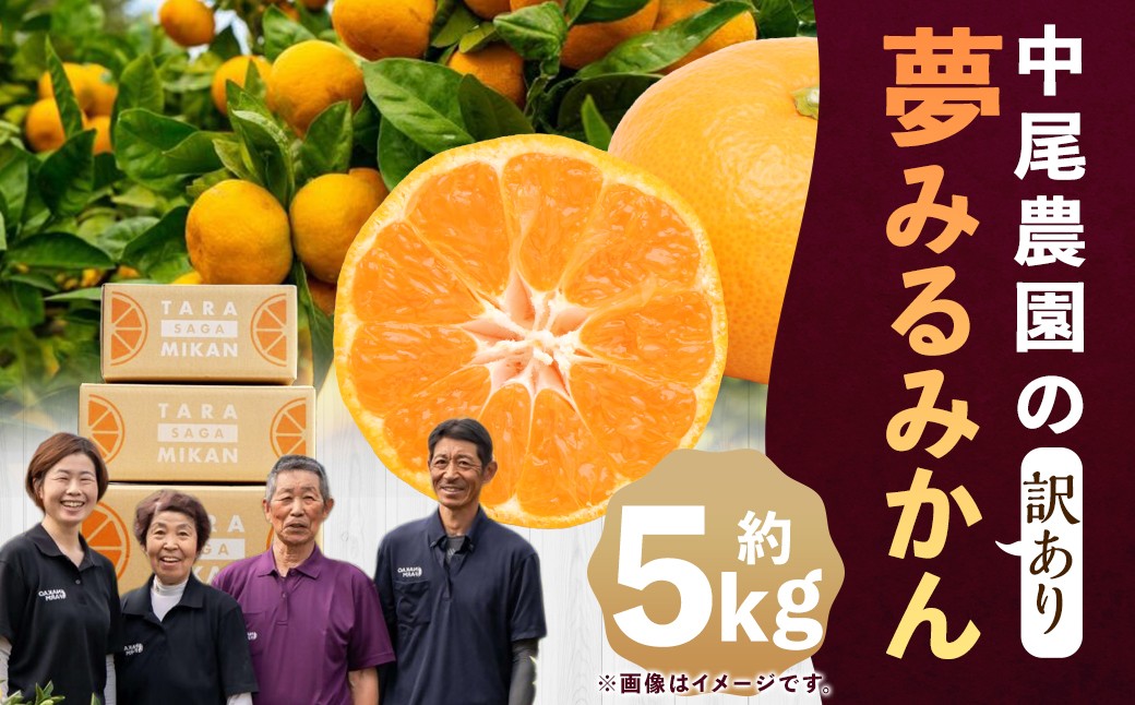 
                  【訳あり】中尾農園の夢みるみかん 5kg  【2026年9月下旬~2027年1月下旬発送予定】みかん ミカン 蜜柑 柑橘 温州みかん フルーツ くだもの 果物 ビタミン豊富 国産 月の引力が見える町 さがみかん 太良みかん 夢見るみかん おいしい 減農薬 濃厚 ギフト 贈答品 贈り物 佐賀県 太良町 NB36x1
                