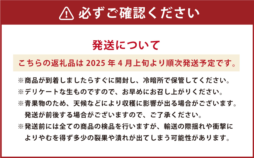 長期熟成 蔵熟 デコポン 約2.5kg 【2025年4月上旬発送開始】 蜜柑 みかん ミカン 柑橘 かんきつ くだもの 果物 フルーツ 国産