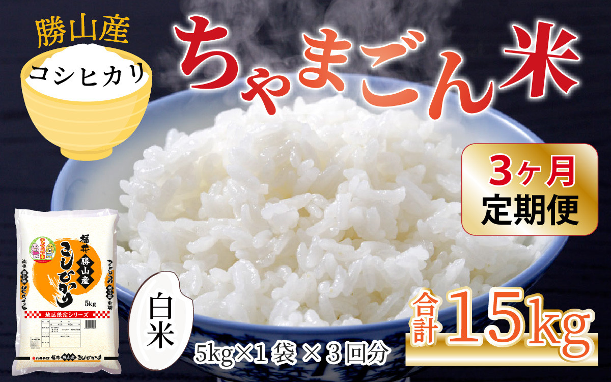 
            【令和6年産 新米】【定期便3回】勝山のお米 コシヒカリ 精米 5kg（計15kg） [D-010017]
          