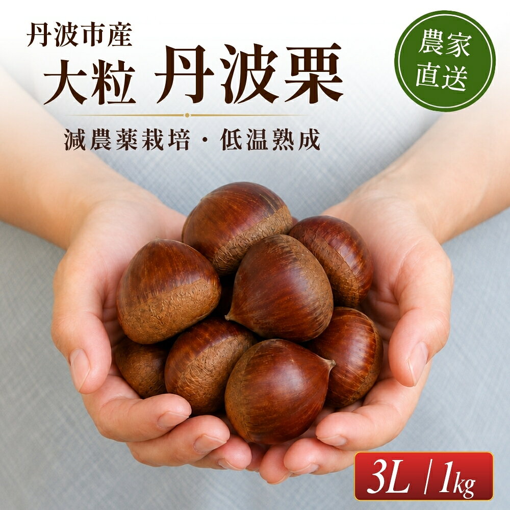 【ふるさと納税】【予約 期間限定】熟成 丹波栗〈大粒3L 1kg or 訳あり混載2kg〉高湿低温熟成 温湯消毒 減農薬栽培 │ 蒸し栗 湯で栗 栗ご飯 栗 くり クリ 丹波の栗