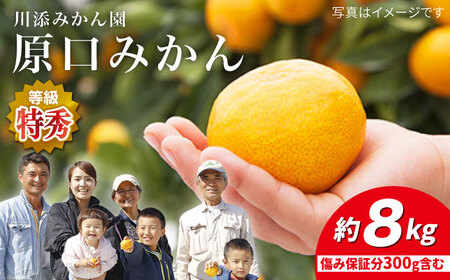 【11月下旬より配送】 原口みか/特秀品 約8kg（傷み保証分300g含む） ＜川添みかん園＞ [CCT004] みかん みかん みかん みかん みかん みかん