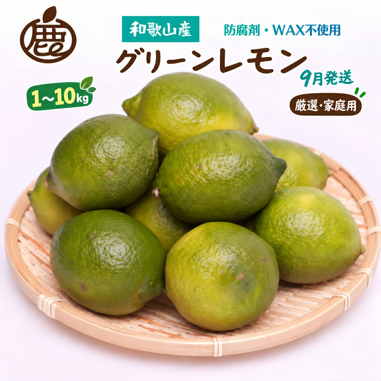 【ふるさと納税】 グリーンレモン 9月発送 / 国産レモン 和歌山 有田 柑橘 防腐剤・WAX不使用 ※2027年9月上旬～9月下旬に順次発送 ※北海道・沖縄・離島への配送不可 //lemon