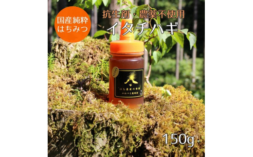 
【ふるさと納税】はちみつ　イタチハギの花150ｇ（ご家庭用）
