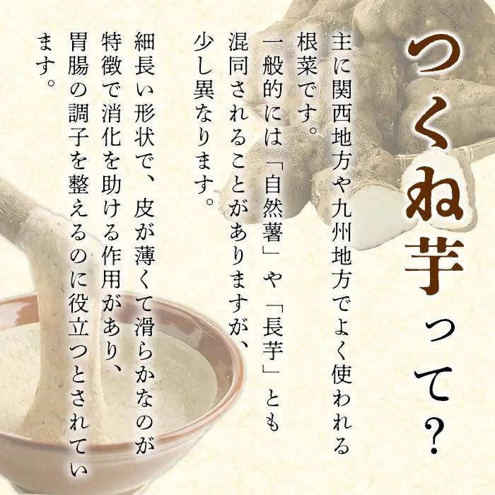 ＜先行予約受付中！2026年11月中旬以降順次発送予定＞つくね芋(大薯)(約5kg) 鹿児島県 阿久根市 つくね芋 大薯 だいじょ大和芋 山芋 とろろ【松永青果】akn053-12