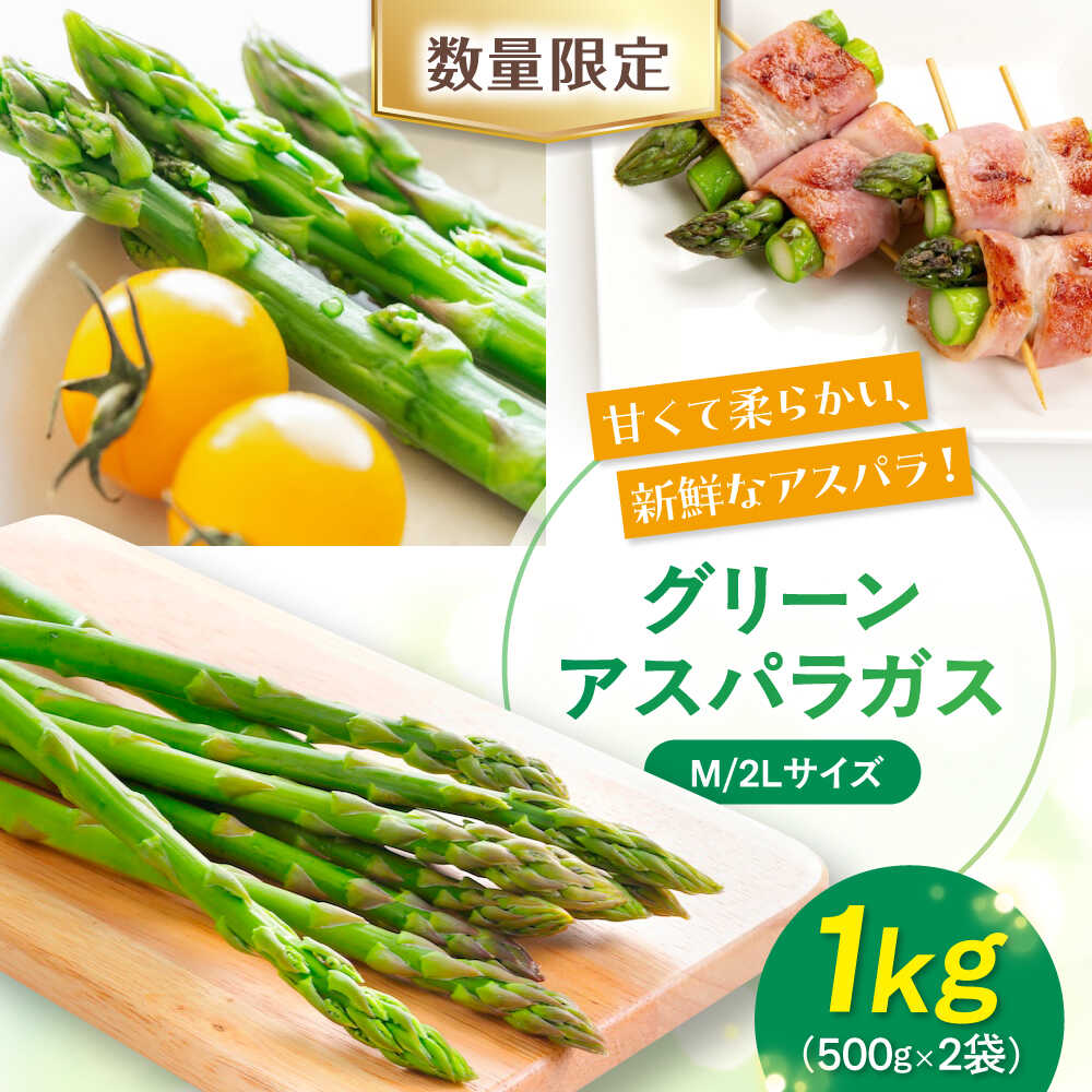【ふるさと納税】【2026年5月中旬以降順次発送】北海道 アスパラ 1kg M / 2L 混サイズ 《喜茂別町》【ニセコビュープラザ直売会協同組合】 先行予約 アスパラガス グリーンアスパラ 冷蔵 野菜 春野菜 季節の野菜 [AJAH017] 12000 12000円