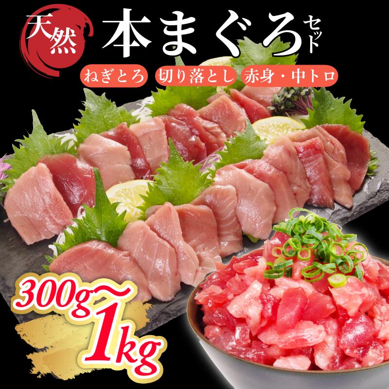 【ふるさと納税】 【中トロ・赤身・ねぎとろ】天然本マグロセット 切り落とし 選べる 300g～1kg マグロ 国産 本まぐろ 中とろ ネギトロ 赤身 天然 鮪 小分け 冷凍 刺身 刺し身 漬け 晩酌 寿司 ユッケ マグロ丼 ねぎとろ 海鮮 魚介類 魚介 便利 徳島県 小松島市