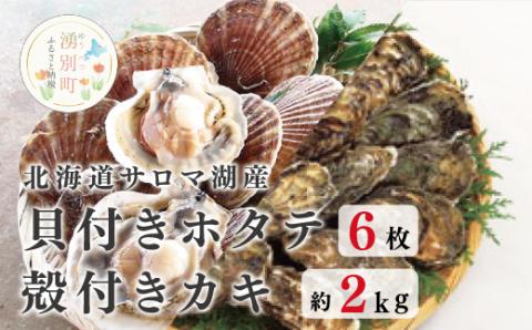 ≪先行予約2024年11月から配送≫北海道サロマ湖産　貝付きホタテ6枚・カキ約2kg　ほたて　帆立　刺身　牡蠣　かき　海鮮　魚介　殻付き　貝付き　冷蔵　サロマ湖　オホーツク　おほーつく　湧別町　北海道