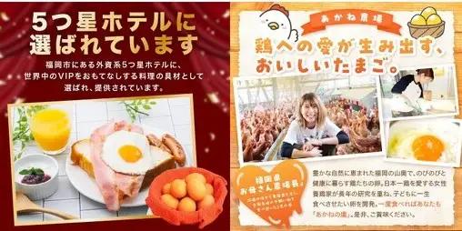 〈平飼い卵〉あかねの虜（20個/月）【6カ月定期便】【E4-006】